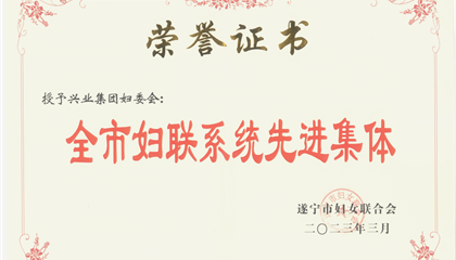 喜報(bào)！興業(yè)集團(tuán)婦委會(huì)榮獲“全市婦聯(lián)系統(tǒng)先進(jìn)集體”榮譽(yù)稱號(hào)