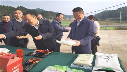 市委常委、政法委書記劉波濤帶隊調(diào)研指導定點幫扶村鄉(xiāng)村振興工作